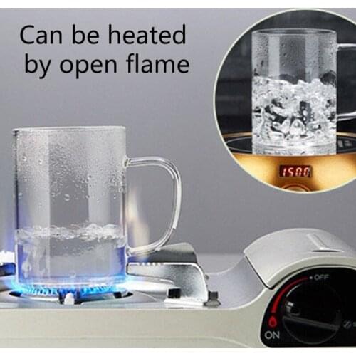 Glass Tea Cup with Lid and Stainless Steel Infuser Basket Perfect Clear Tea Mug