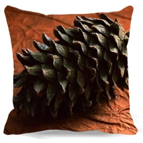 Pinecone Mushroom Home Textile bedding Square cotton polyester pillow cover For home hotel car sofa decoration