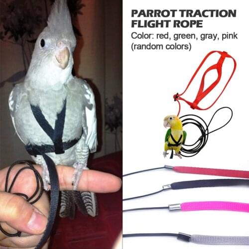 Parrot Harness Leash Flying Anti-bite Traction Rope Bird Training Outdoor Carrying For Psittacus Erithacus Scarlet Macaw Birds