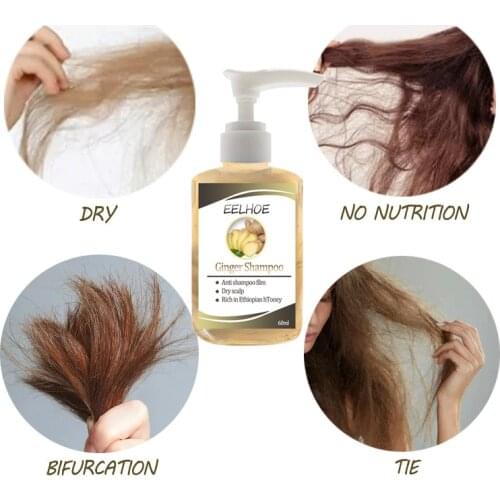 60ML Ginger Anti-hair Loss Shampoo Anti-dandruff Anti-itch Oil-control Shampoo Effectively Moisturizes Repairs Hair TSLM1