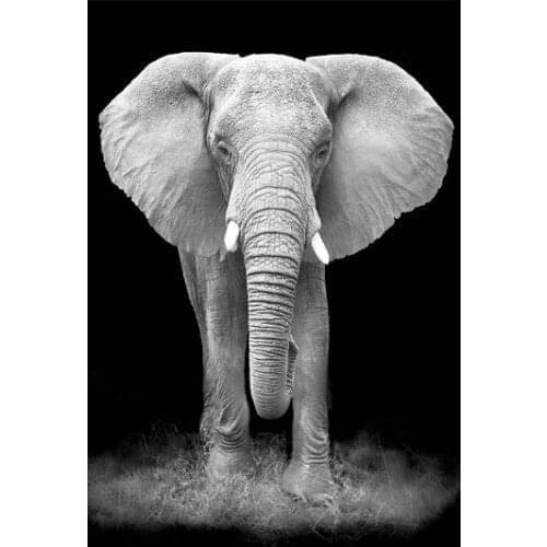 Art elephant The wooden puzzle 1000 pieces ersion jigsaw puzzle white card adult childrens educational toys