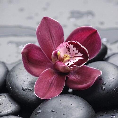 GATYZTORY 5D Diamond Painting Full Square DIY Home Decor Mosaic Rhinestone Picture Custom LOGO Red Flower and Black Rock