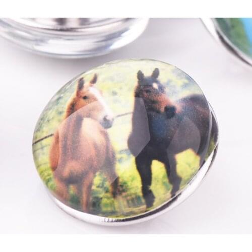 Mixed Colors Horse Pattern Jewelry Accessories Big 18 mm Snap Buttons Fit Jewelry 10pcs / lot