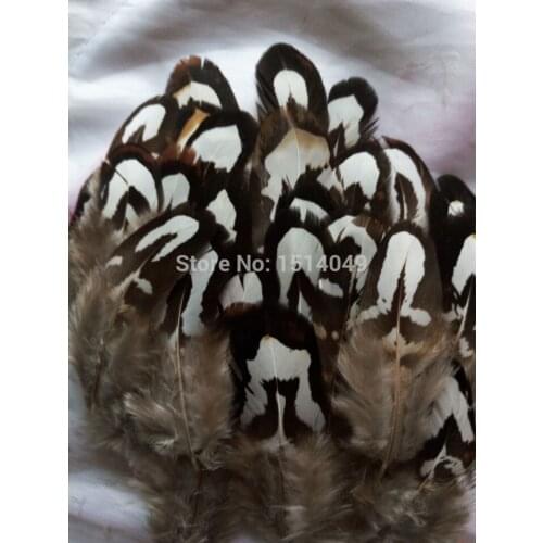 Wholesale beatiful 20pcs high quality natural pheasant feathers 3-6cm / 1.5-2.5inch decorative diy Pattern pieces