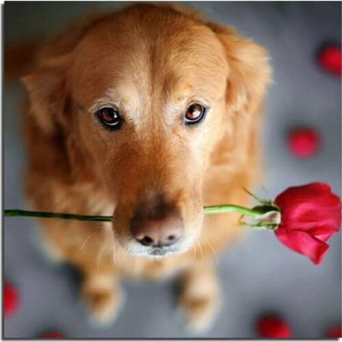 Dog 60x60cm DIY Handmade Room Decal Diamond Painting Set Resin Rhinestone Pasted Cross Stitch For Home Decor Diamond Embroidery