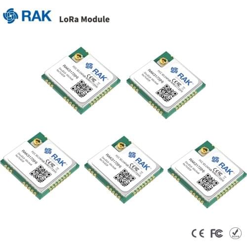 RAK4200 LoRa Module Low Power with STM32L071 MCU SX1276 Chip LoRaWAN 1.0.2 Protocols Support Point To Point Communications