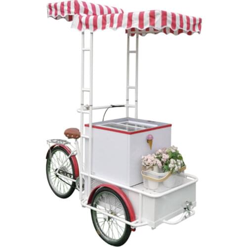 Pedal Electric Tricycles Rickshaw Pedicab Hybrid Electric Bicycles for Sale Tandem Bike Cargo Tricycle Passenger Car