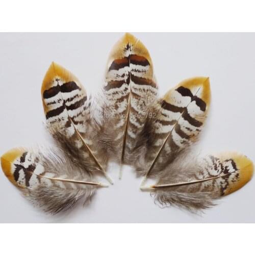 Wholesale 100Pcs 5-10cm Natural Fly Tying Pheasant Chicken Feathers For DIY Crafts Mask Jewelry Accessories Making Decoration