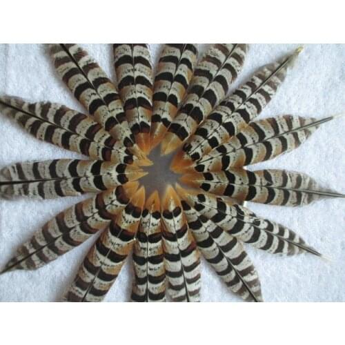 Free shipping 100pcs wild turkey feathers Collect diy hot natural good 10-15cm/4-6inch natural color Scarce