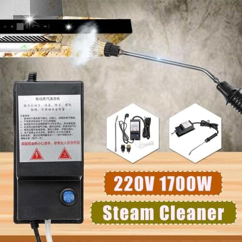 220V 1700W High Pressure Steam Cleaner Machine Sterilization Disinfector Steam Auto Mobile Cleaning Machine Kitchen Home