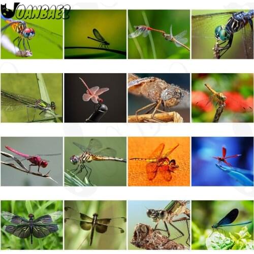 Dew Water Dragonfly Diamond Painting Hollow Wings 5D Diy Wall Art Sticker Diamond Embroidery Home Decoration Gift