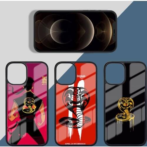 Cobra Kai Season 2 Phone Case PC for iPhone 11 12 pro XS MAX 8 7 6 6S Plus X 5S SE 2020 XR Luxury brand shell funda
