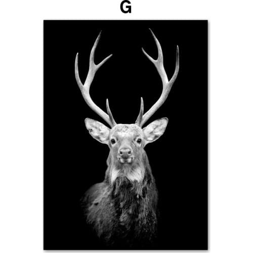 Nordic Modern Design Art Decor Poster Tiger Lion Deer Picture Quality Canvas Painting Home Decor Living room Wall Decor A910