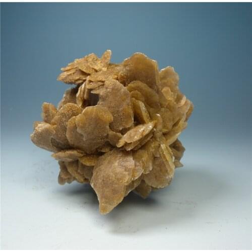 Desert Rose never withers natural mineral stone mineral crystal rose teaching specimens