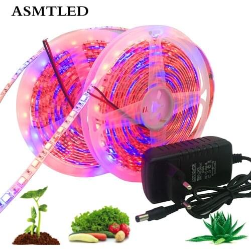 1-10m Plant Grow lights 5050 SMD Full Spectrum Dimmable LED Strip Flower Phyto Lamp+Power Adapter Red blue 3:1 4:1 5:1 Strip Set