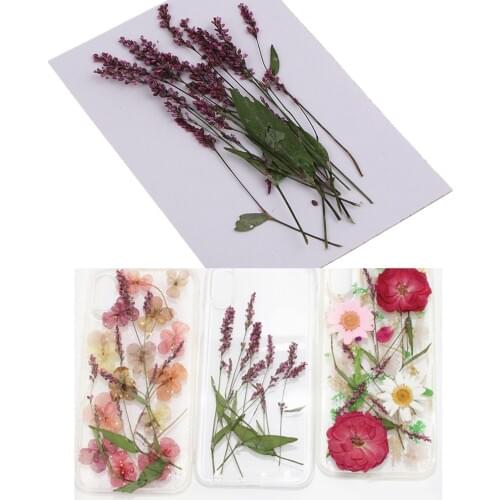 12pcs Natural Pressed Dried Flowers Branches DIY Scrapbooking Arts Crafts Phone Case Album Card Decoration
