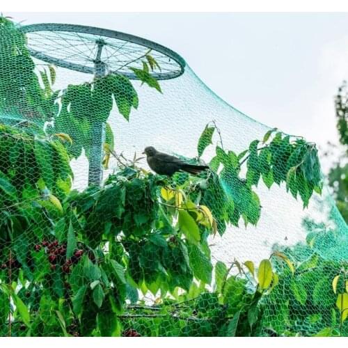 6x4M Green Anti Bird Protection Net Mesh Garden Plant Netting Protect Plants Fruit Trees Reusable Fencing Pest Control Trap