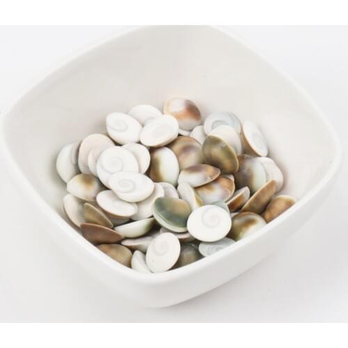 9-12mm No hole Natural Spiral Shell Loose Beads for Flatback cabochons Scrapbook Craft DIY about 50pcs TRS0064X