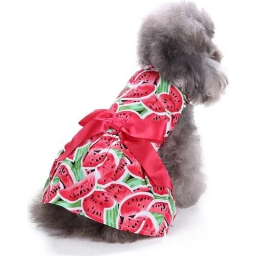 Spring Summer New Fashion Girl Dog Watermelon Dresses Small Dogs Cat Pet Luxury Skirt Puppy Clothes