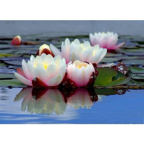 5D DIY Diamond Painting Full Square Round 3D Embroidery Lotus Landscape Pictures of Rhinestones Mosaic Wall Decor Gift Kit DF667