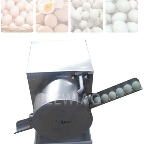 Commercial Electric Roller Brush Type Duck Egg Washer Recycled Water Dirty Pigeon Egg Cleaning Washing Machine