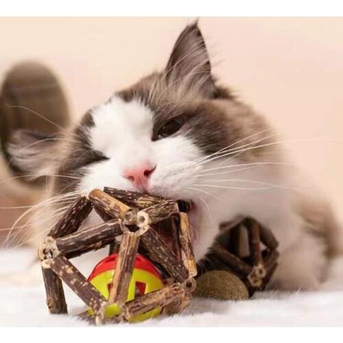 Catnip Ball Cat Toys Interactive Toy For Kitten Matatabi Polygonum Cleaning Cats Teeth Healthy Catnip Wooden Balls Pet supplies