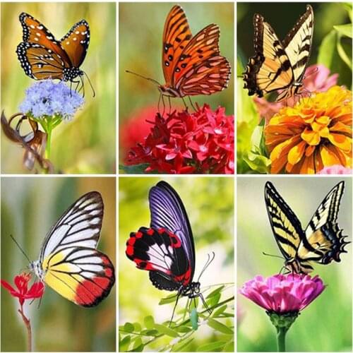 Diy Butterfly 5d Diamond Painting Full Square Drill Flower Scenery Cross Stitch Diamond Embroidery Handwork Wall Art Home Decor