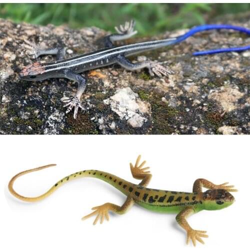 P31C Interest Childrens Plastic Reptile Outing Fashion Supplies Kids Party Christmas Gift Relieve Stress Kids Birthday Gift