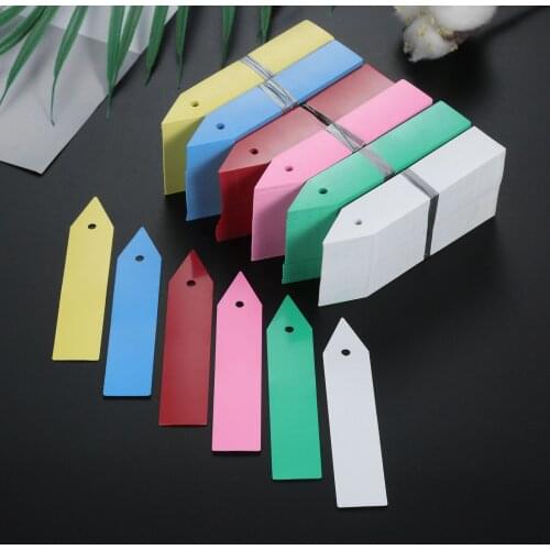 100Pcs Tree Fruits Seedling Garden Flower Pot Reusable Plants Hole Tag Stake Labels Sign Markers Classification Plants Name Card