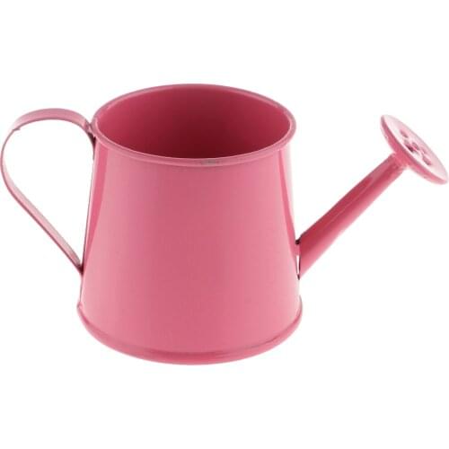 Mini Metal Iron Watering Can, Flower Vase Iron Pitcher, Garden Flower Pot Plant Planter Home Decor