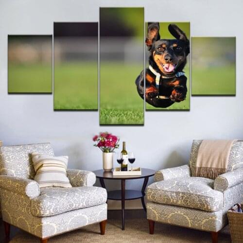 5 Pieces Print Oil Painting Wall painting happy rottweiler dog Home Decorative Wall Art Picture For Living Room paintng Frame