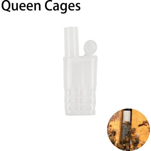 20PCS Bee Queen Cages Protective Plastic White Move Bees Beekeeping Product For Beekeeper Suppiler