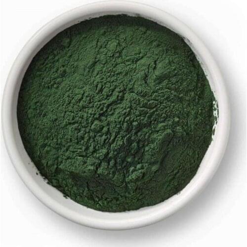 Organic Non-GMO Non-Irradiated Spirulina Powder Antioxidant Superfood Protein - Herbal Extracts