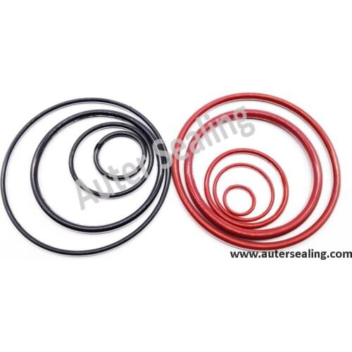 FEP FKM oring 6 sizes Encapsulated O-ring With FPM ring