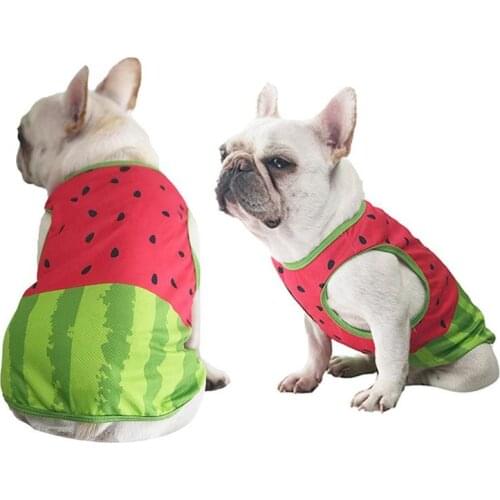 Pet Cool T-Shirt Dog Cooling Vest Breathable Dog Clothes With Kettle Watermelon Cooling Clothes Storage Container For Summer