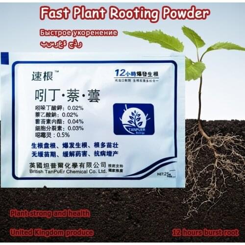 1PCS Bonsai Plant Rapid Growth Powder Root Hormone Regulator Nurse Seedling Restoration Germination Aid Fertilizer