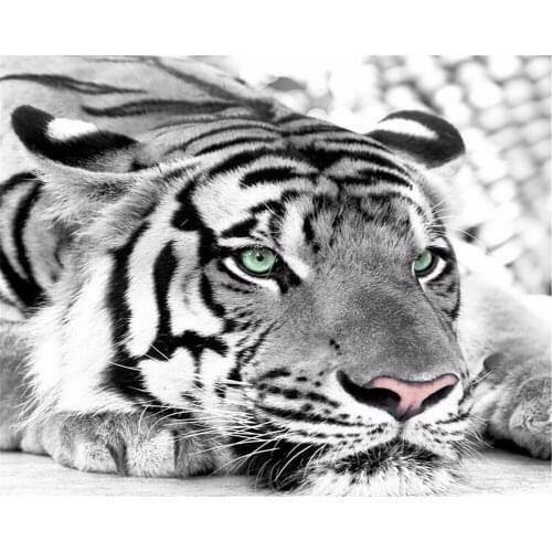 3DBEIBEHANG Custom wallpaper photo tiger black and white animal mural wallpaper room living room TV background wall painting