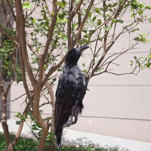 Black Feathered Fake Crow Bird Realistic Hanging Dead Crow Baits Animal Ornaments Mold Scare Away Pests Garden Halloween Decor