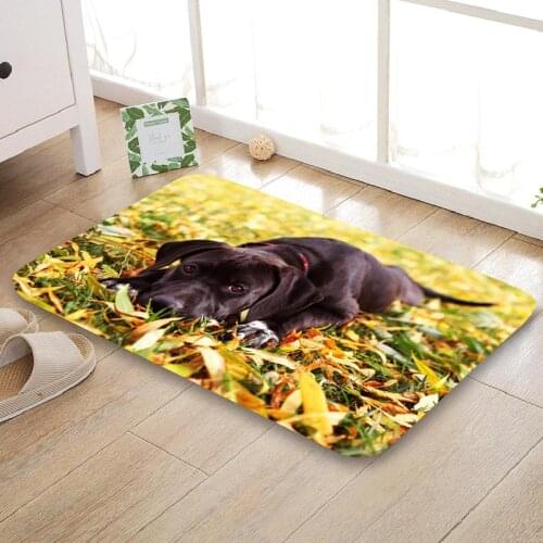 Custom Cane Corso Funy Doormat Floor/Bath/Kitchen/Beach Mat Flannel Sponge Fabric 3D Printed Shaggy Decoration For Bedroom