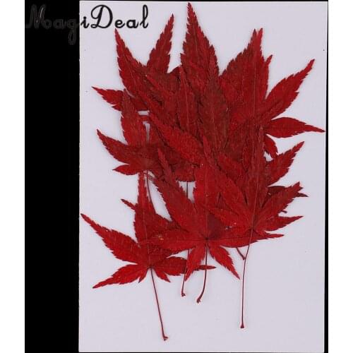 12pcs Natural Pressed Dried Flower Leaves Red Maple Leaf Embellishment for Card Making Phone Case DecorationDIY 4-4.5cm