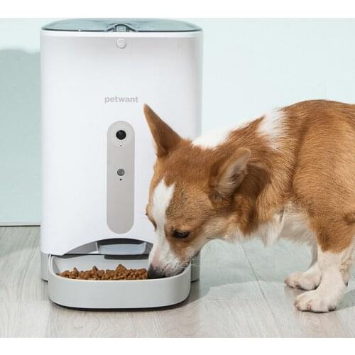 Товары для собак CLOC China At AliExpress