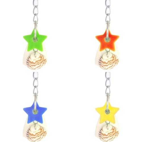 Star Shell Cuttlebone Parrots Bird Hanging Swing Pet Play Biting Chewing Toy Color Five-pointed Star Pendant Dream Decoration