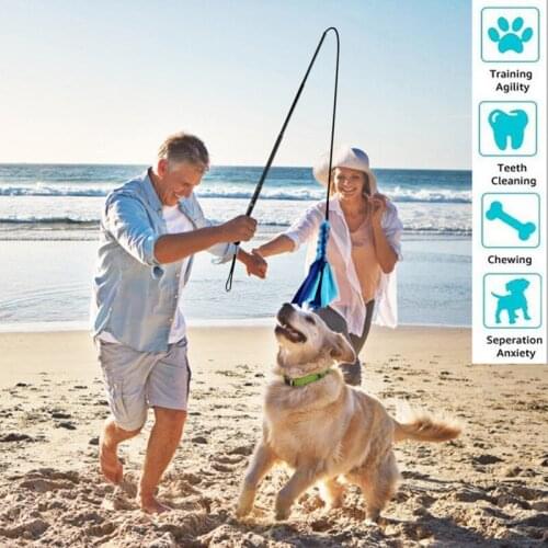 A Interactive Dog Cat Feather Toy Feather Teaser Stick Wand Pet Feather Refill Replacement Catcher Product for Kitten