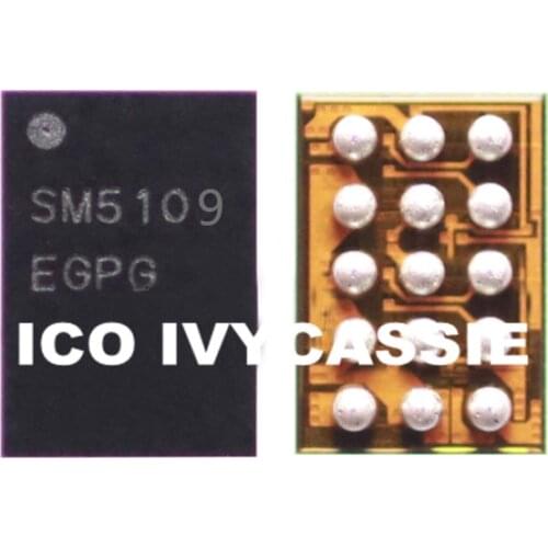 SM5109 LCD Display IC Chip