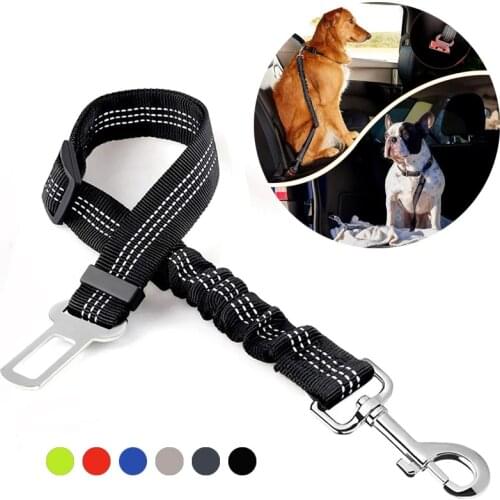 Первый питомец Yplgpet China At AliExpress