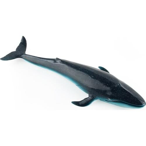 Simulation Marine Animal Model Toy Giant Tooth Shark Killer Whale Blue Whale Animal Shark Model Educational Toy Boys Gifts