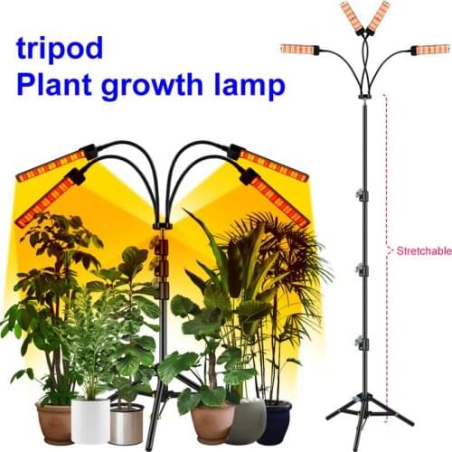 LED Grow Light USB Full Spectrum Grow Tent Complete Kit Phytolamp For Plants Seedlings Flowers Indoor Grow Box Remote Control