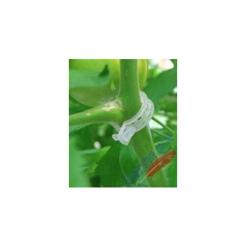 200pcs plant clip plastic tomato clip plant fastener plant vines Tomato Flower Vegetable Farming Clip