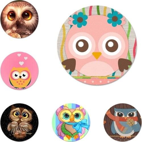 Cartoon animal owl Icons Pins Badge Decoration Brooches Metal Badges For Clothes Backpack Decoration 58mm