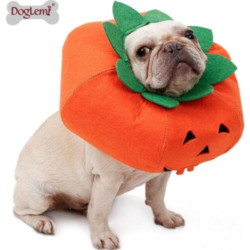 Halloween Pumpkin Dog Cat Dress Up Multifunctional Dog Collars Pet Cat Party Spooky Makeover